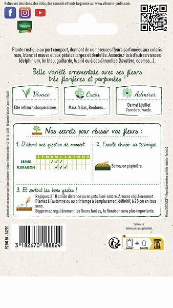 VILMORIN - Oeillet Mignardise Simple Varié Vilmorin - large