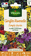 VILMORIN - Giroflée Ravenelle Simple Variée Vilmorin - vignette