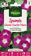 VILMORIN - Graines de Ipomée grimpante rouge - 3m - vignette