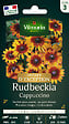 VILMORIN - Rudbeckia Cappuccino Vilmorin - vignette