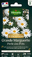 VILMORIN - Grande Marguerite Perle des Prés Vilmorin - vignette