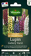 VILMORIN - Graines de lupin vivace - Lupin Gallery - Multicolore - vignette