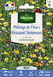 VILMORIN - Mélange de fleurs Mélange Résistant Sécheresse 10m2 Vilmorin - vignette