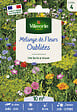VILMORIN - Mélange de fleurs fleurs oubliées - 10m² - Multicolore - vignette