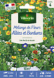 VILMORIN - Mélange de fleurs Mélange Couvrant Allées Bordures 10m2 Vilmorin - vignette