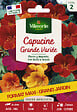 VILMORIN - Graines de Capucine Grande Variée - Grimpante annuelle - 15g - vignette