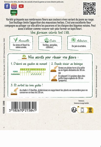 VILMORIN - Graines de Capucine Grande Variée - Grimpante annuelle - 15g - large