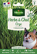 VILMORIN - Herbe à chat à semer - Graines d'orge - 20cm - vignette