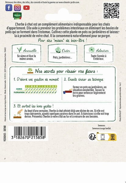 VILMORIN - Herbe à chat à semer - Graines d'orge - 20cm - large