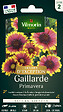 VILMORIN - Gaillarde Primavera Vilmorin - vignette