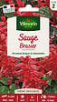 VILMORIN - Sauge Brasier - Graines - Rouge brillant - 50-60cm - vignette