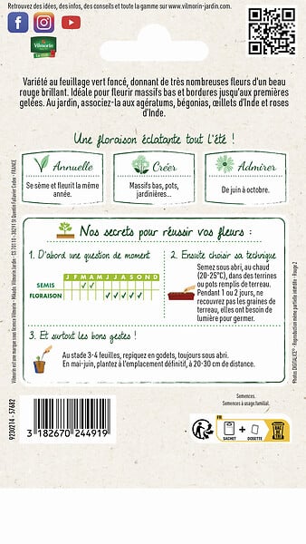 VILMORIN - Sauge Brasier - Graines - Rouge brillant - 50-60cm - large