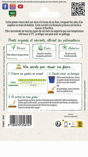 VILMORIN - Sachet de graines - Lavande Papillon - Violet - Vivace - large