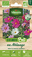 VILMORIN - Cosmos Varié BIO Vilmorin - vignette