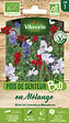 VILMORIN - Pois de Senteur Varié BIO Vilmorin - vignette