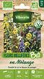 VILMORIN - Mélange de graines mellifères BIO - Engrais vert - 1m - vignette