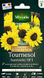 VILMORIN - Tournesol Suntastic HF1 Vilmorin - vignette