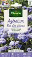 VILMORIN - Agératum Roi des Bleus Vilmorin - vignette