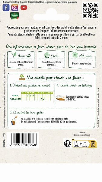 VILMORIN - Amarante Queue de Renard Vilmorin - large