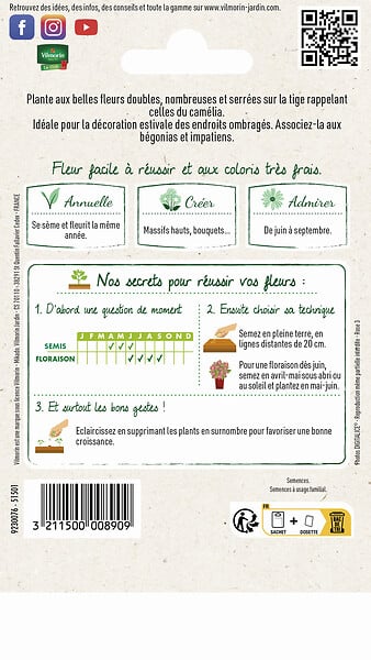 VILMORIN - Balsamine Camélia Double Variée Vilmorin - large