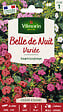 VILMORIN - Belle de Nuit Variée Vilmorin - vignette