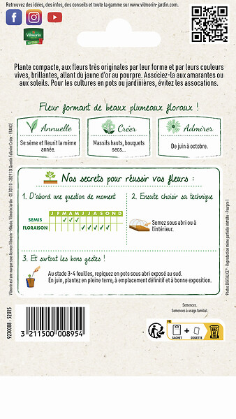 VILMORIN - Célosie à Panache Variée - Graines - 30cm - large