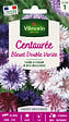 VILMORIN - Centaurée Bleuet Double Variée Vilmorin - vignette
