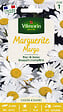 VILMORIN - Graines de Marguerite Margo - Blanche - 1g - vignette
