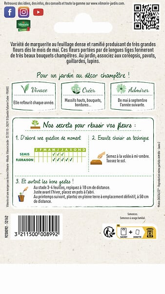 VILMORIN - Graines de Marguerite Margo - Blanche - 1g - large