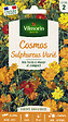 VILMORIN - Cosmos Sulphureus Varié Vilmorin - vignette
