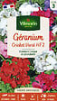 VILMORIN - Géranium Cricket Varié Vilmorin - vignette