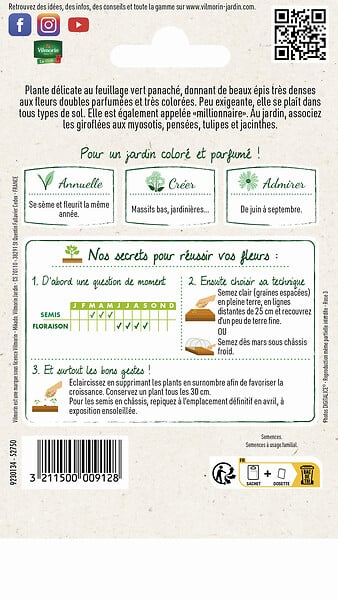 VILMORIN - Graines giroflée d'été Quarantaine Variée - Annuelle 30-50cm - large