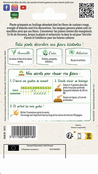 VILMORIN - Haricot d'Espagne Varié Vilmorin - large