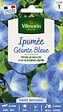 VILMORIN - Graines Ipomée Géante Bleue - Grimpante - 3 à 5 m - vignette