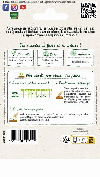 VILMORIN - Graines grimpantes Ipomée Volubilis Variée - Mélange - 4g - large