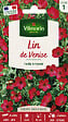 VILMORIN - Graines de fleur Lin de Venise - Rouge - 3g - vignette