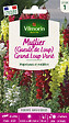 VILMORIN - Muflier Gueule de Loup Grand Loup Varié Vilmorin - vignette