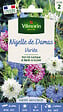 VILMORIN - Graines de Nigelle de Damas - Cheveux de Vénus - 3 g - vignette