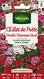VILMORIN - Œillet de Poète Double Pationata Varié - Graines - 1.5 g - vignette