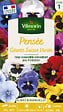 VILMORIN - Graines de Pensée Géante Suisse Variée - Multicolore - vignette