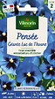 VILMORIN - Graines de Pensées Géantes Lac de Thoune - Bleu - Vivace - vignette