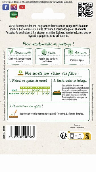 VILMORIN - Pensée Géante Lueur des Alpes Vilmorin - large