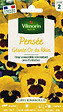 VILMORIN - Pensée Géante Or du Rhin - Vivace - Fleurs Jaune d'Or - vignette