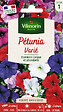 VILMORIN - Pétunia Varié Vilmorin - vignette