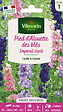 VILMORIN - Pied d'Alouette Impérial Géant Double Varié Vilmorin - vignette