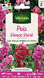VILMORIN - Pois Vivace Varié - Grimpant - Coloris Rose Blanc Pourpre - vignette
