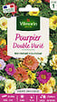 VILMORIN - Graines de Pourpier Double Varié - Multicolore - vignette