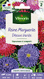 VILMORIN - Graines Reine-Marguerite Naine - massifs pots - 20-30cm - vignette