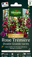 VILMORIN - Rose Trémière Double Grande Variée - Sachet de graines - 2 m - vignette