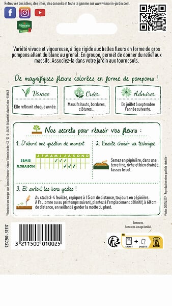 VILMORIN - Rose Trémière Double Grande Variée - Sachet de graines - 2 m - large
